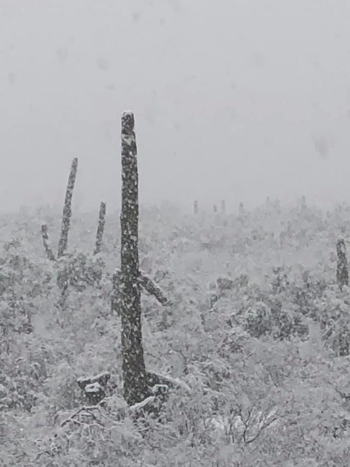 Snow in Marana